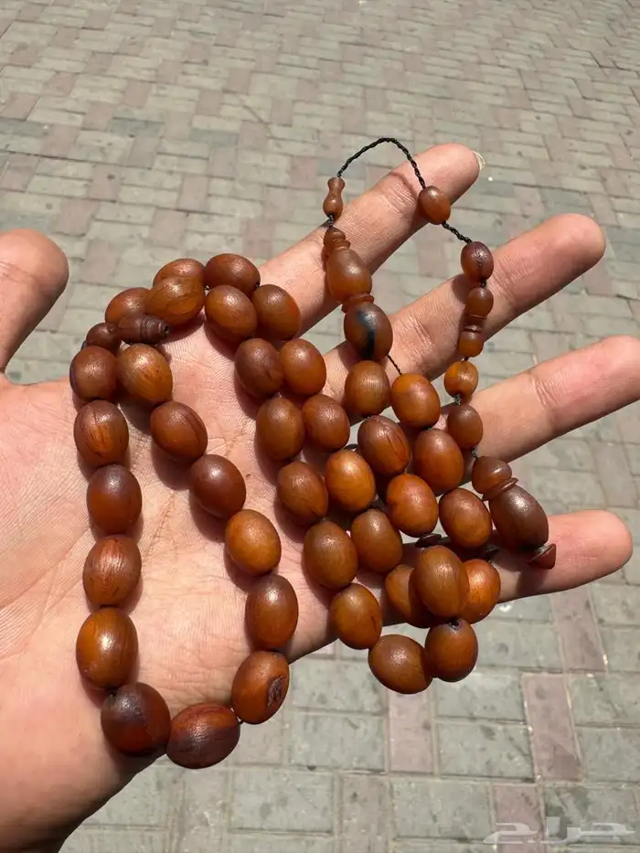سبح زراف وحيد القرن vip 4