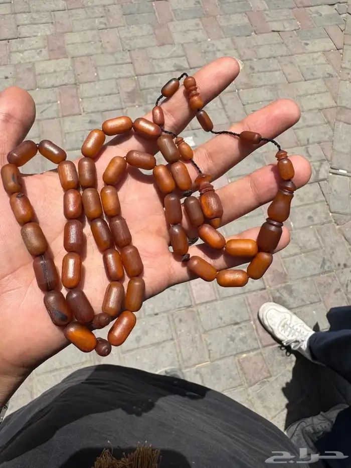 سبح زراف وحيد القرن vip 8