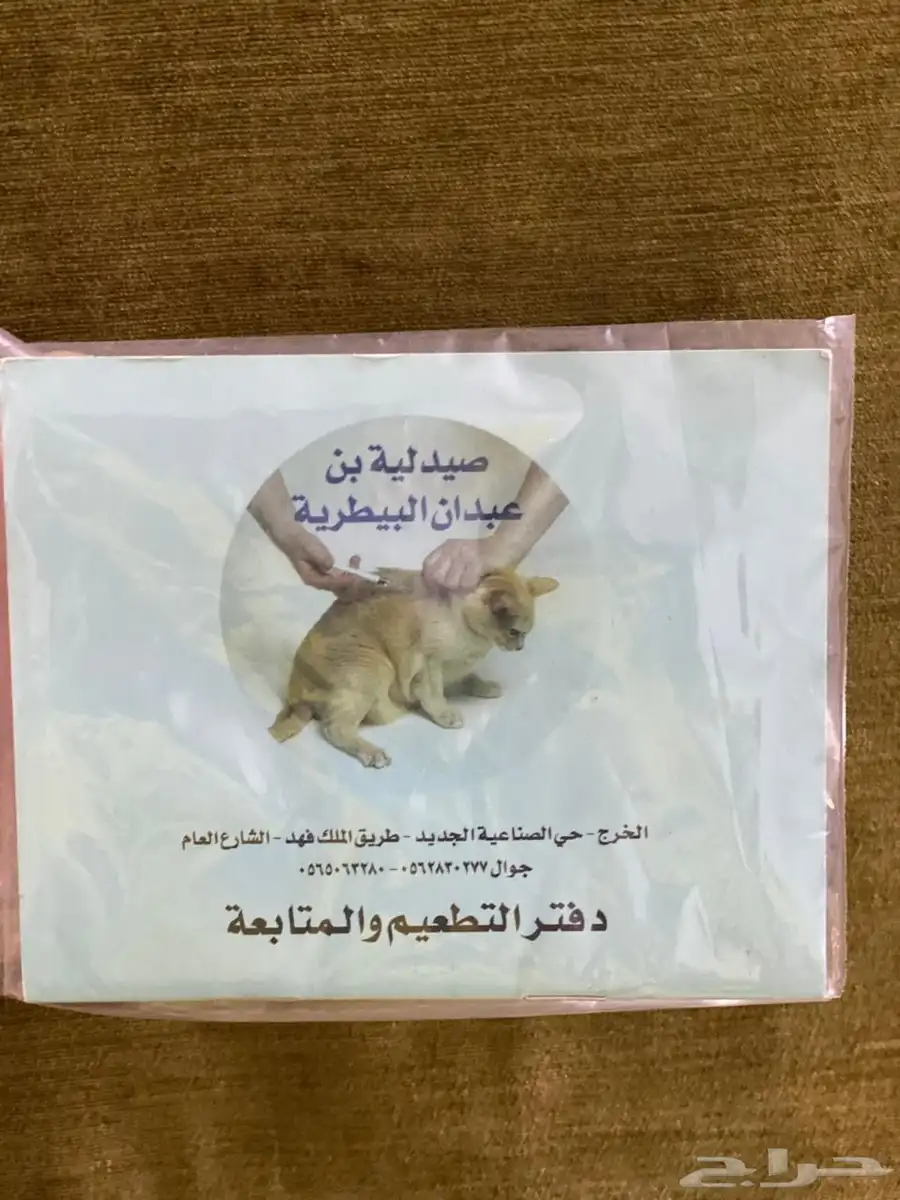 قط سيبيري مطعم (للبيع) 4