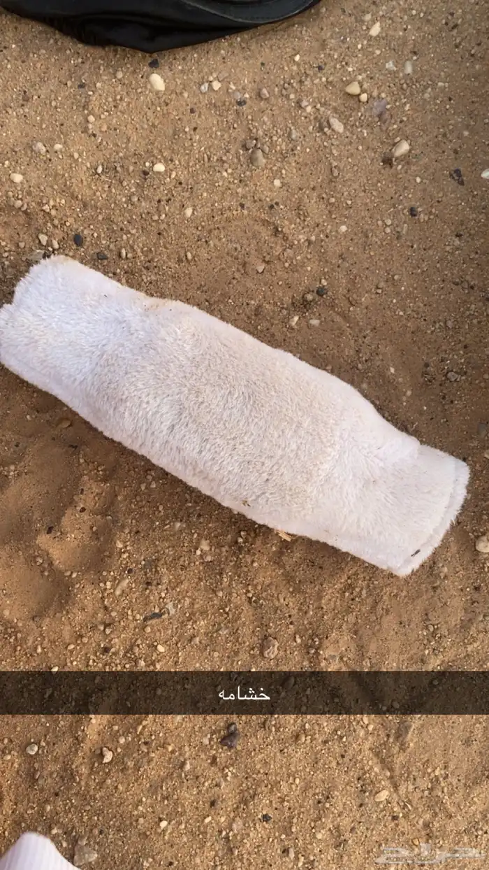 مستلزمات خيل 0