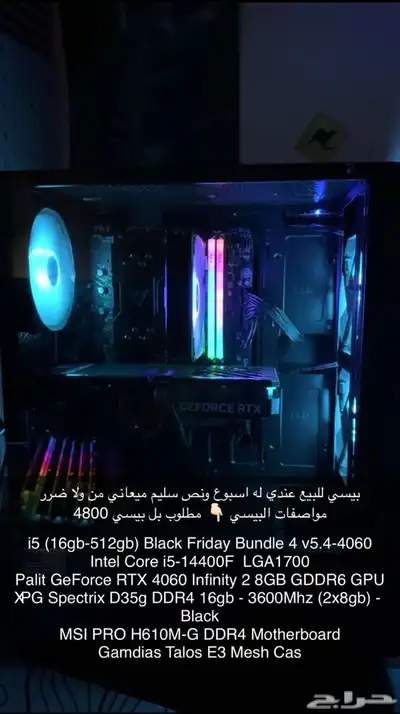بيسي للبيع 0