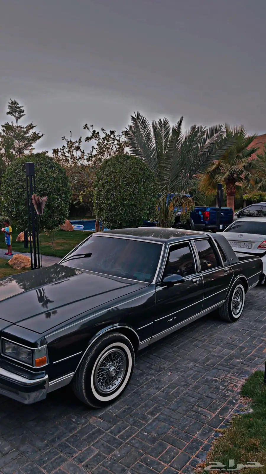 كابرس 1986 7