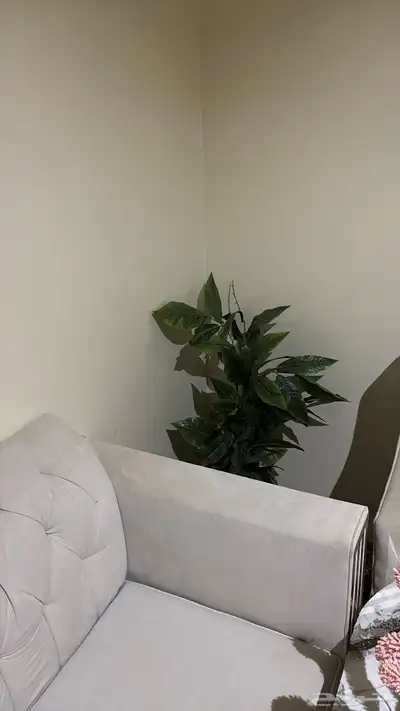 كنب جديد للبيع بحاله ممتازه على السوم 4