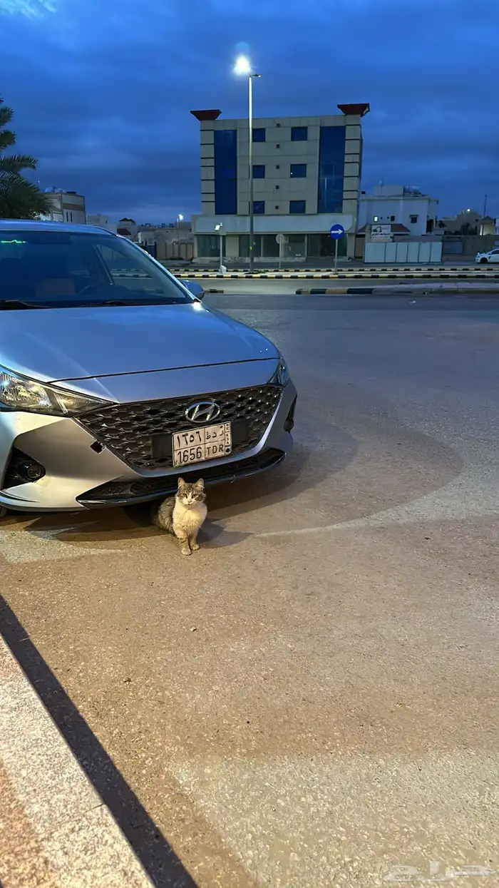 تأجير سيارات يومي وشهري ب أسعار منافسه للسوق 11