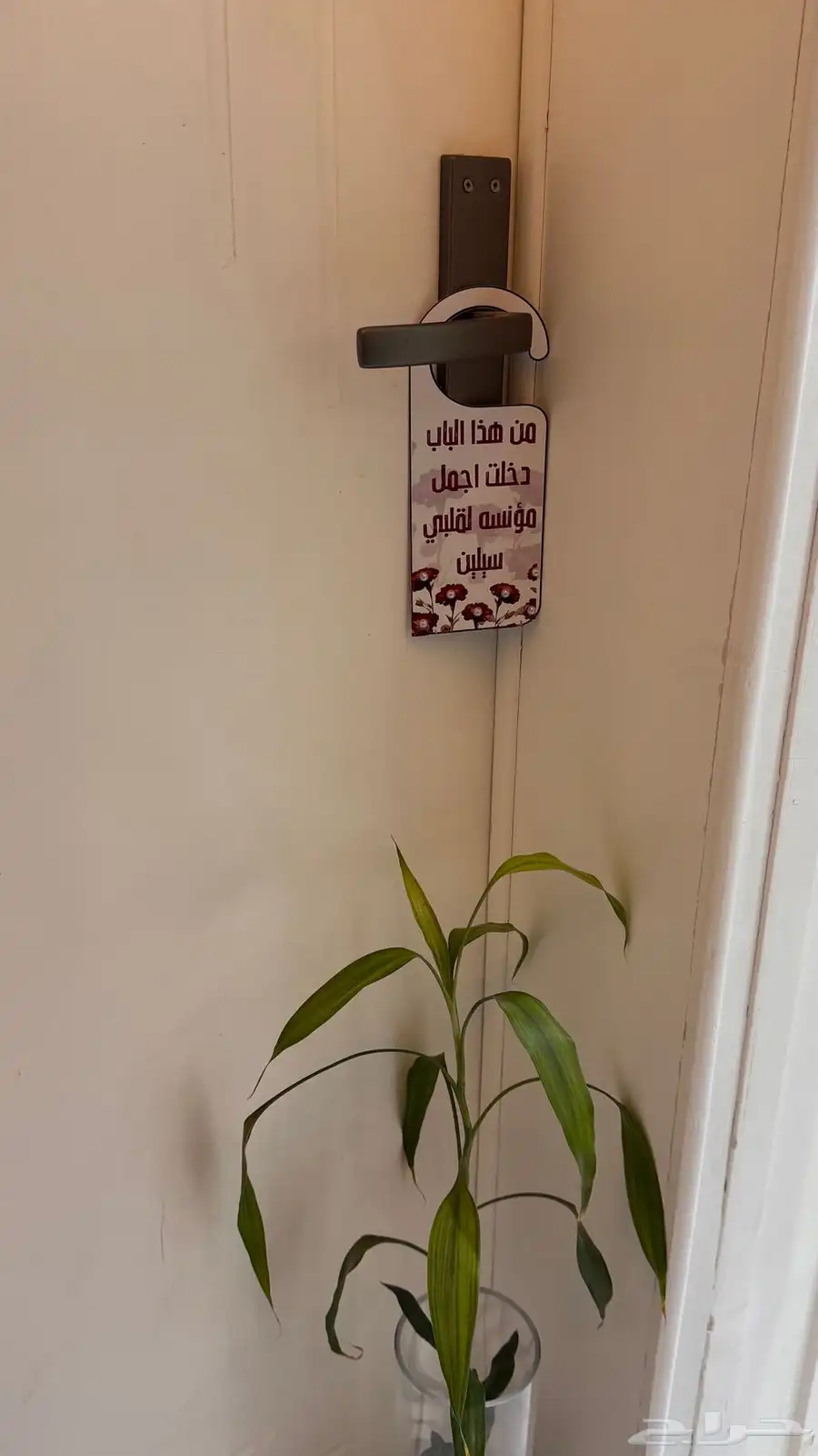 توزيعات 2