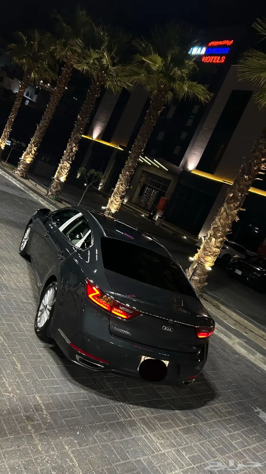 كادنزا 2018 5