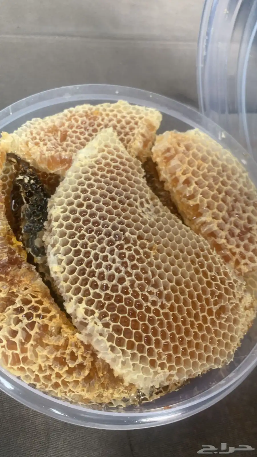 عسل طلح 1
