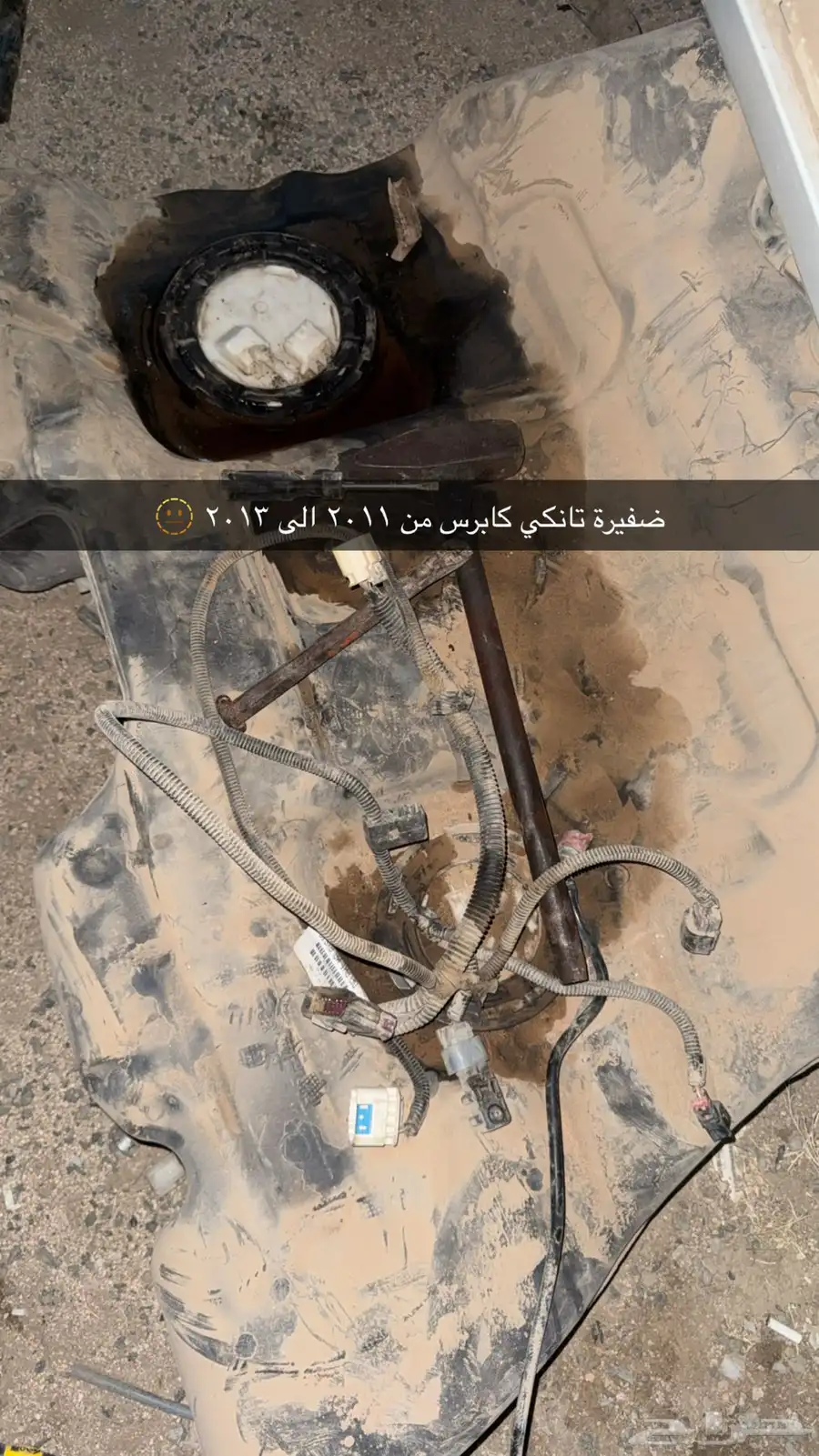 ضفيرة تانكي كابرس 0