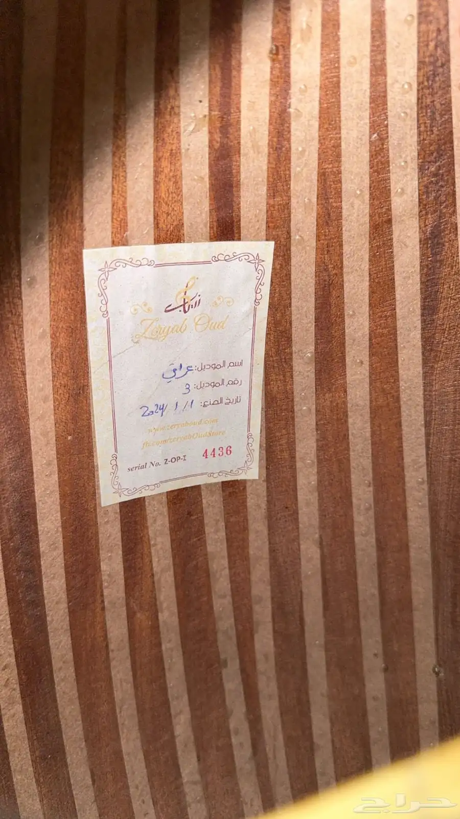 عود زرياب احترافي 2