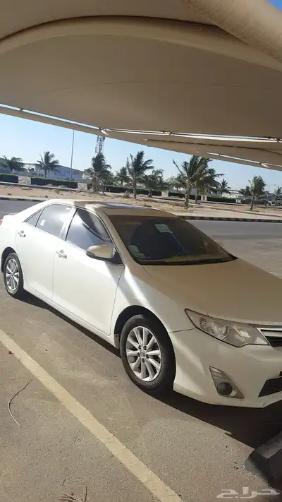 تم البيع 1
