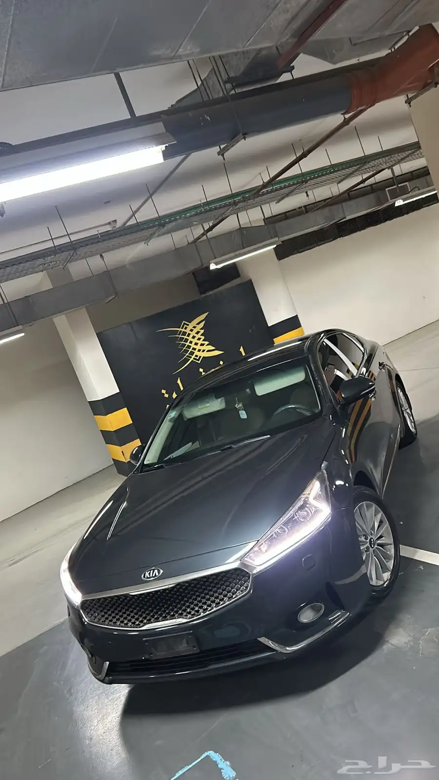 كادنزا 2018 9