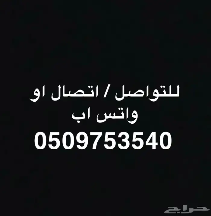 تيس مطور ابيض صنف 5