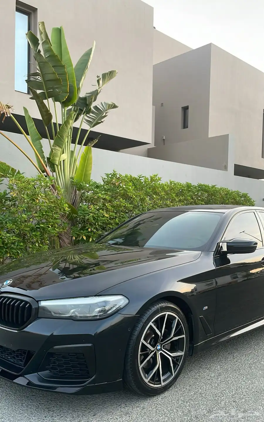 BMW-M kit - فئة خاصة 33