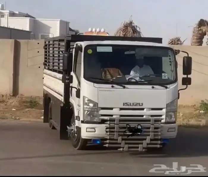 دينه دانه دينا نقل 0