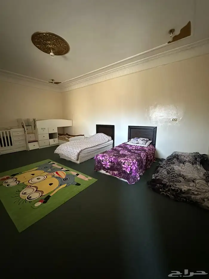 الباحه الباحه 0