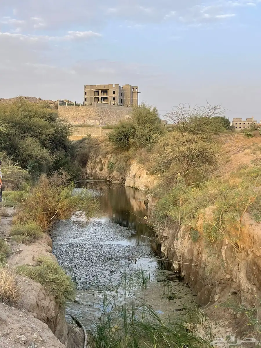 ماء بير للبيع index