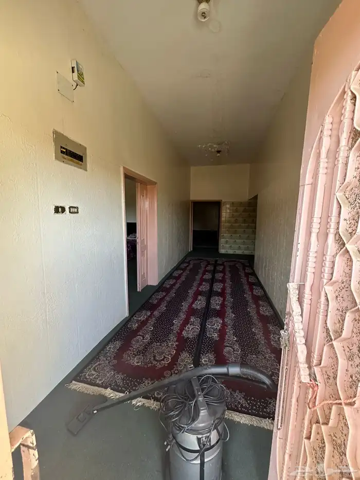 الباحه الباحه 1