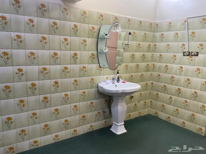 الباحه الباحه 7