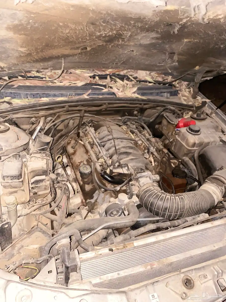 كابرس 2000 0