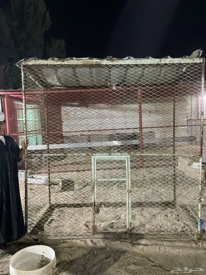 عشة للبيع 0