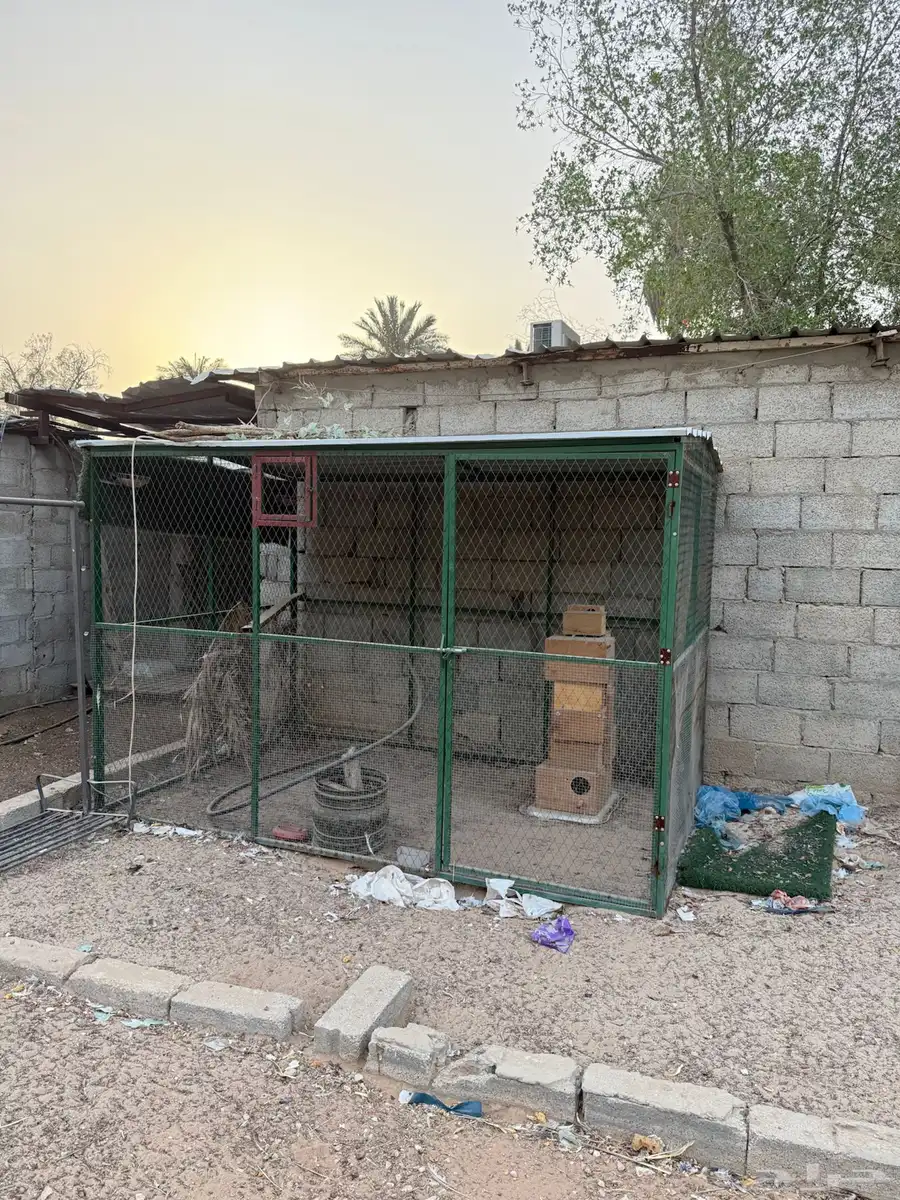 شبوك للطيور والحيوانات 5