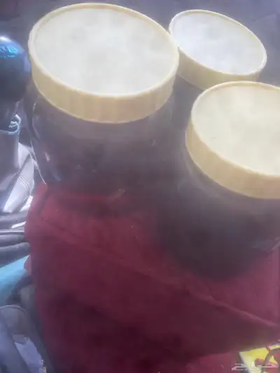 عسل سمره 4