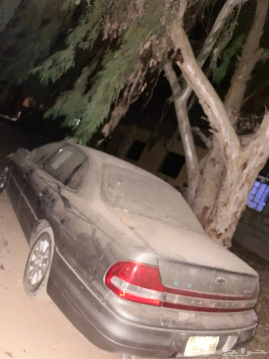 كابرس 2000 6