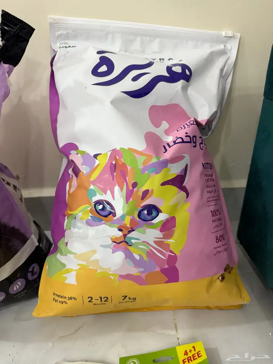 اكل القطط   تراب 0