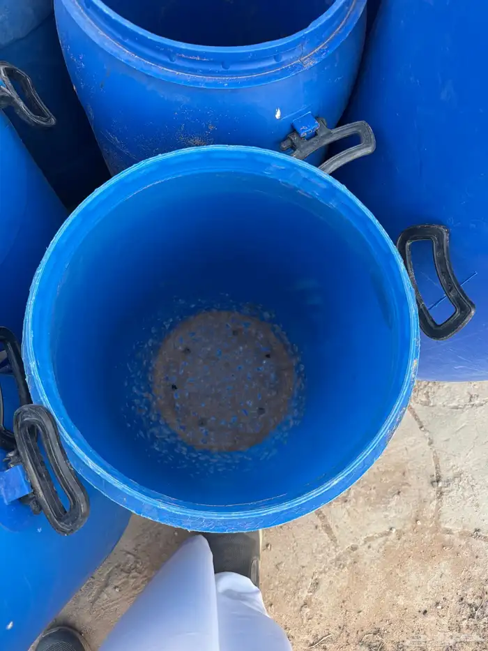براميل للأشجار 5
