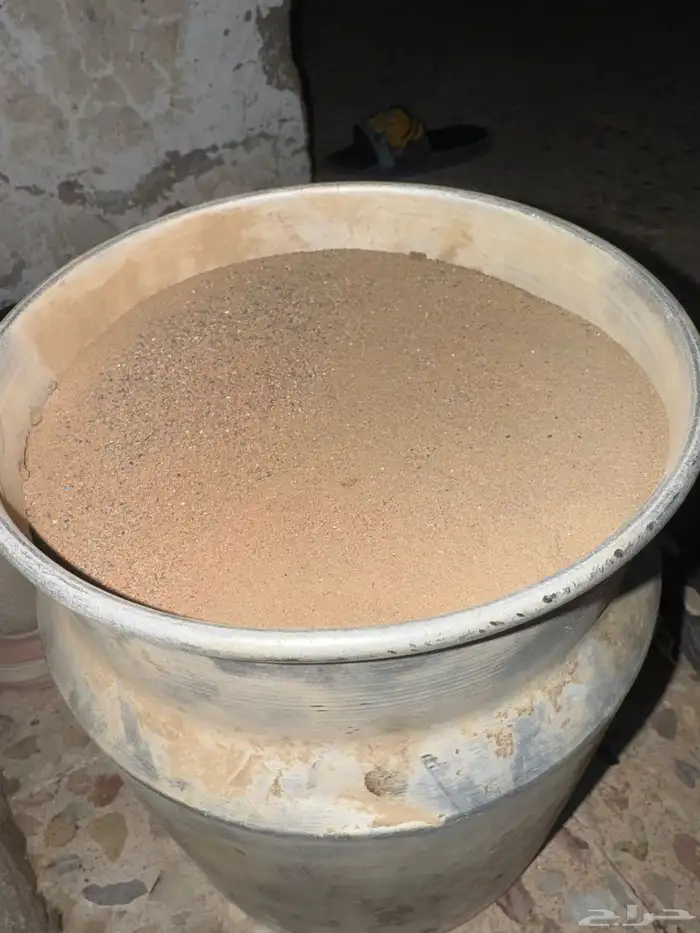 غبره قويه للبيع ب 150 0