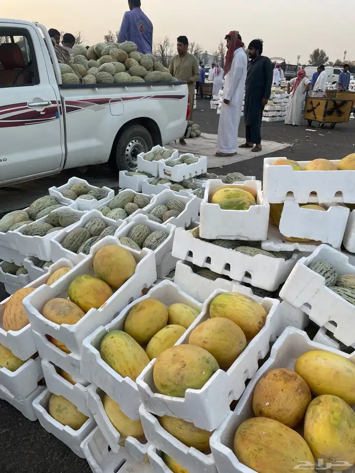 حبحب شمام حسب الطلب حاليا في سوق القصيم للطلب التواصل واتس 4