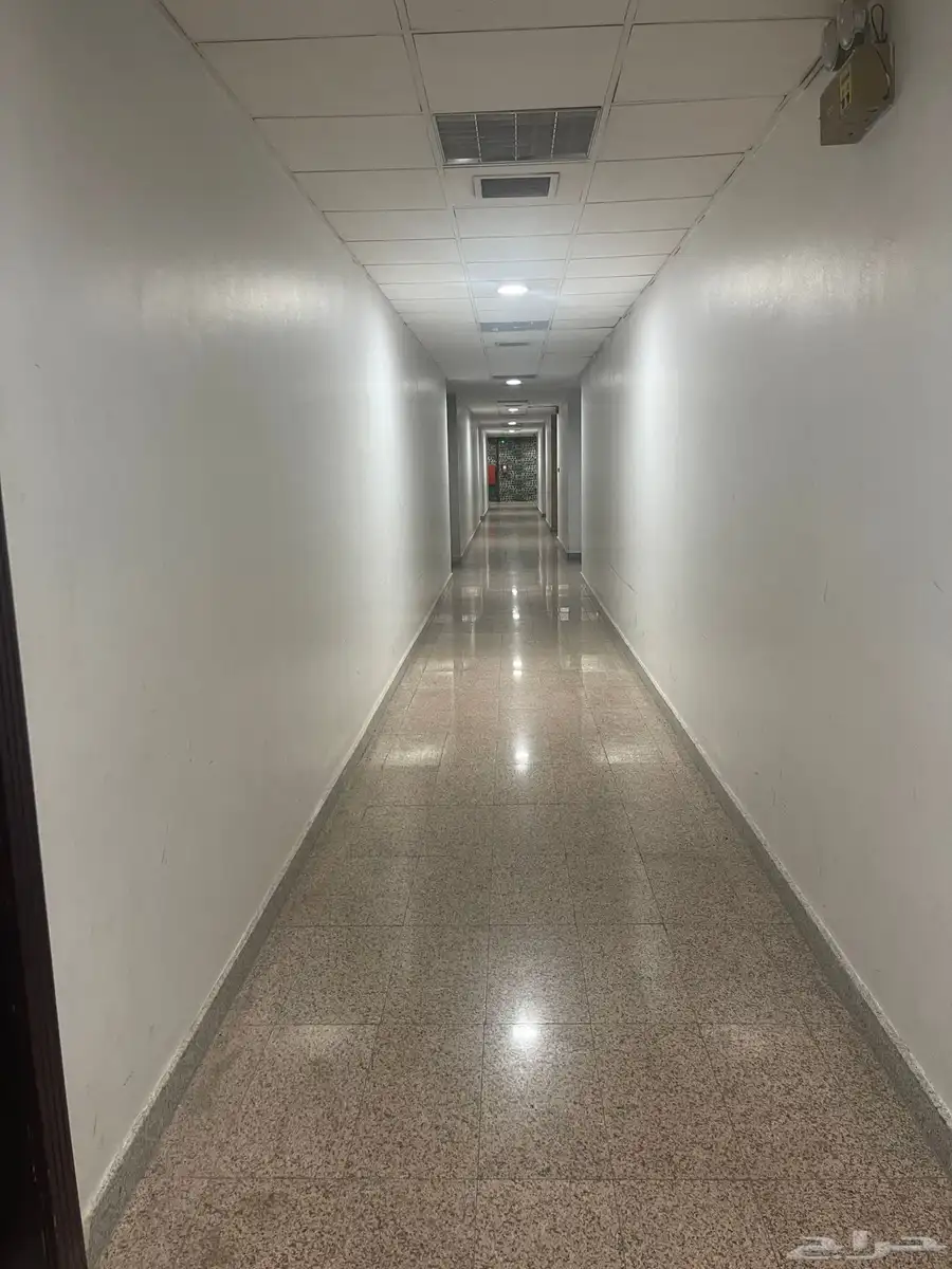 استديو للايجار بحي المربع Studio for rent 1