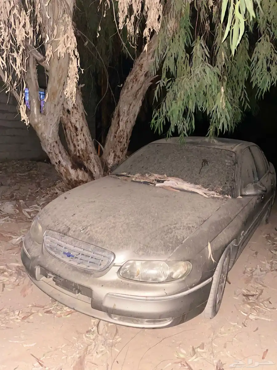 كابرس 2000 2