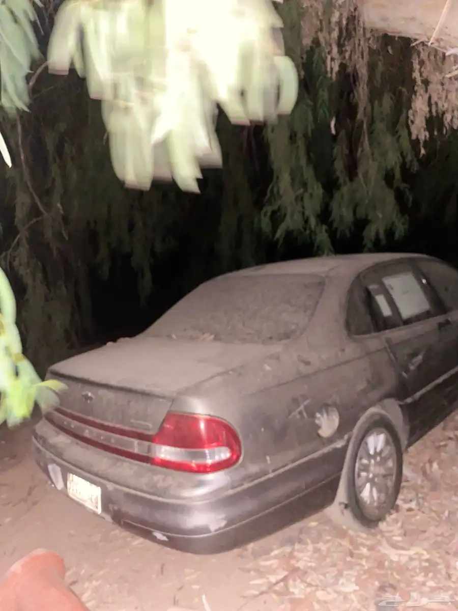 كابرس 2000 9