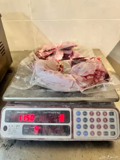 ارانب لحم طازجة 3