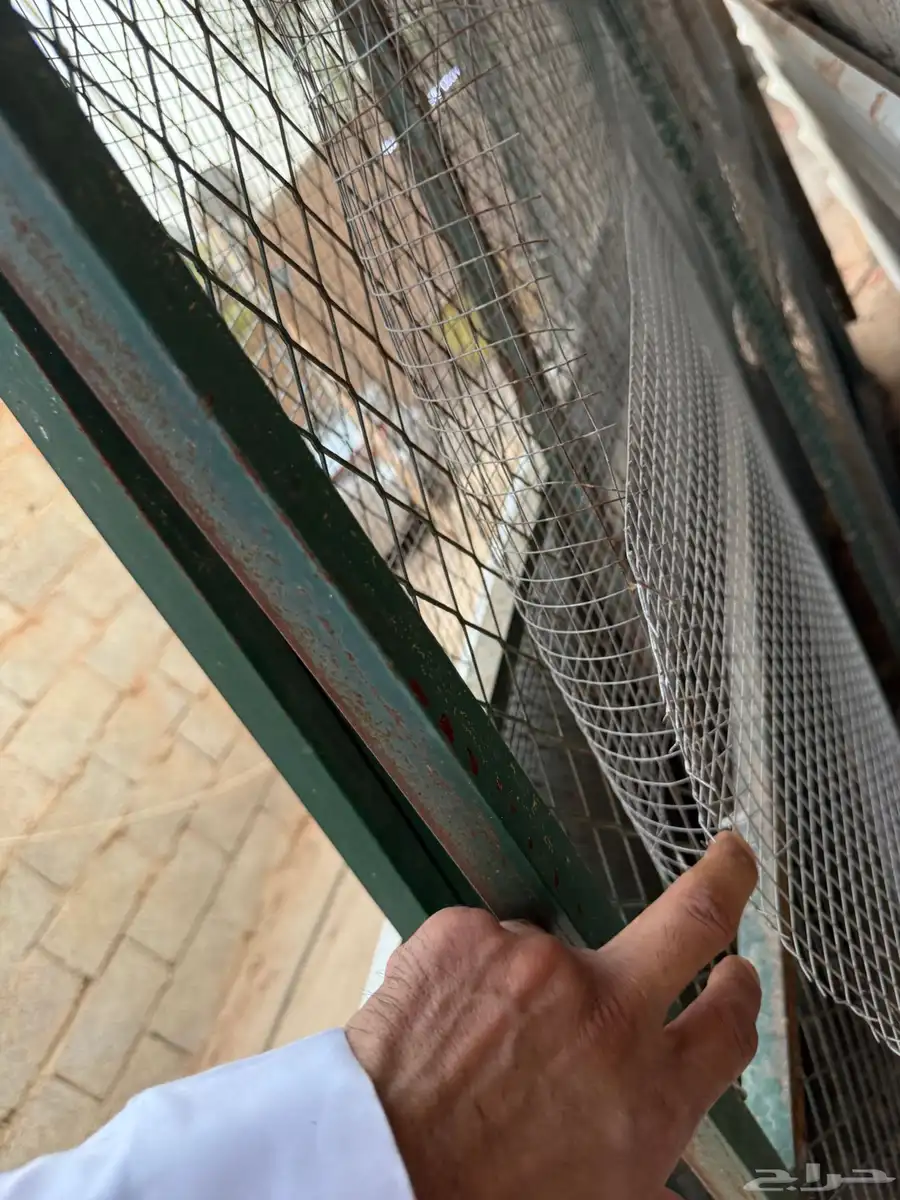 شبوك للطيور والحيوانات 2