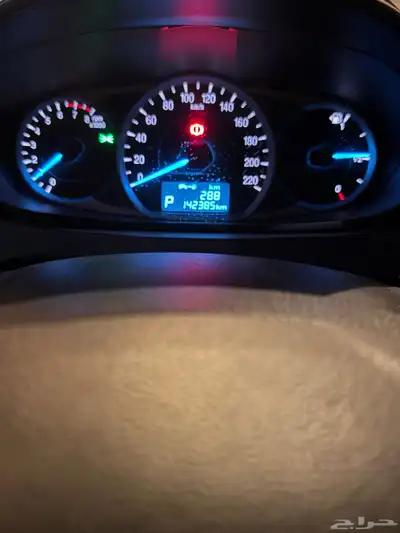 فيجو 2019م 7