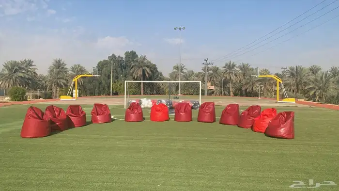 تأجير الكراسي البيج بنج 6