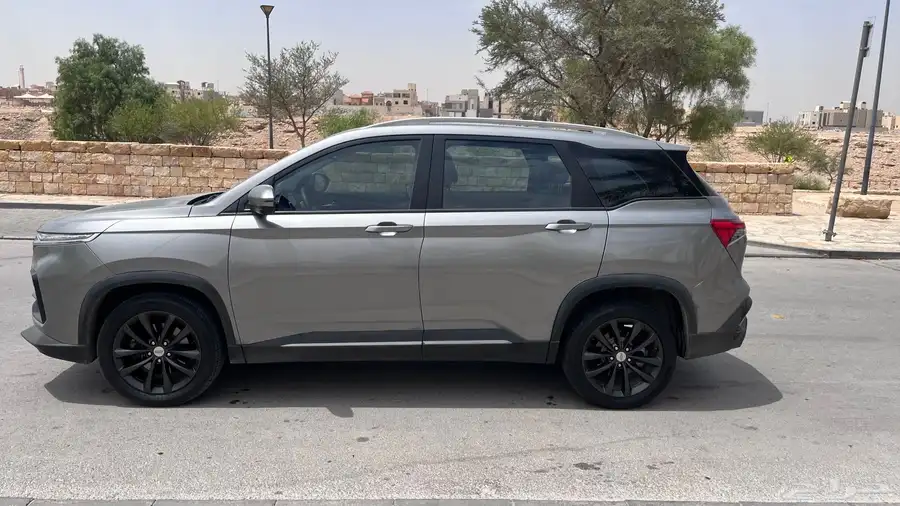 كابتيفا 24 LS 1