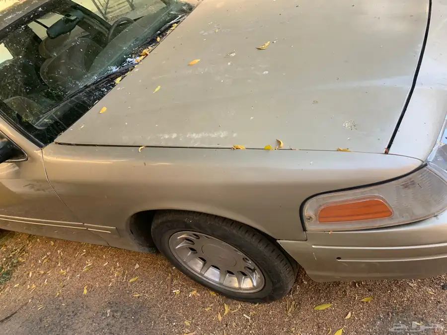فورد 1999 12