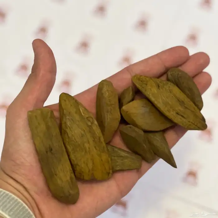 عود مروكي اصقون دبل سوبر 1