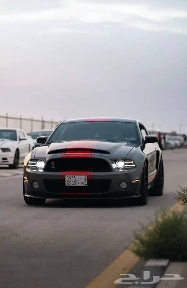 فورد موستنق شلبي GT500 1