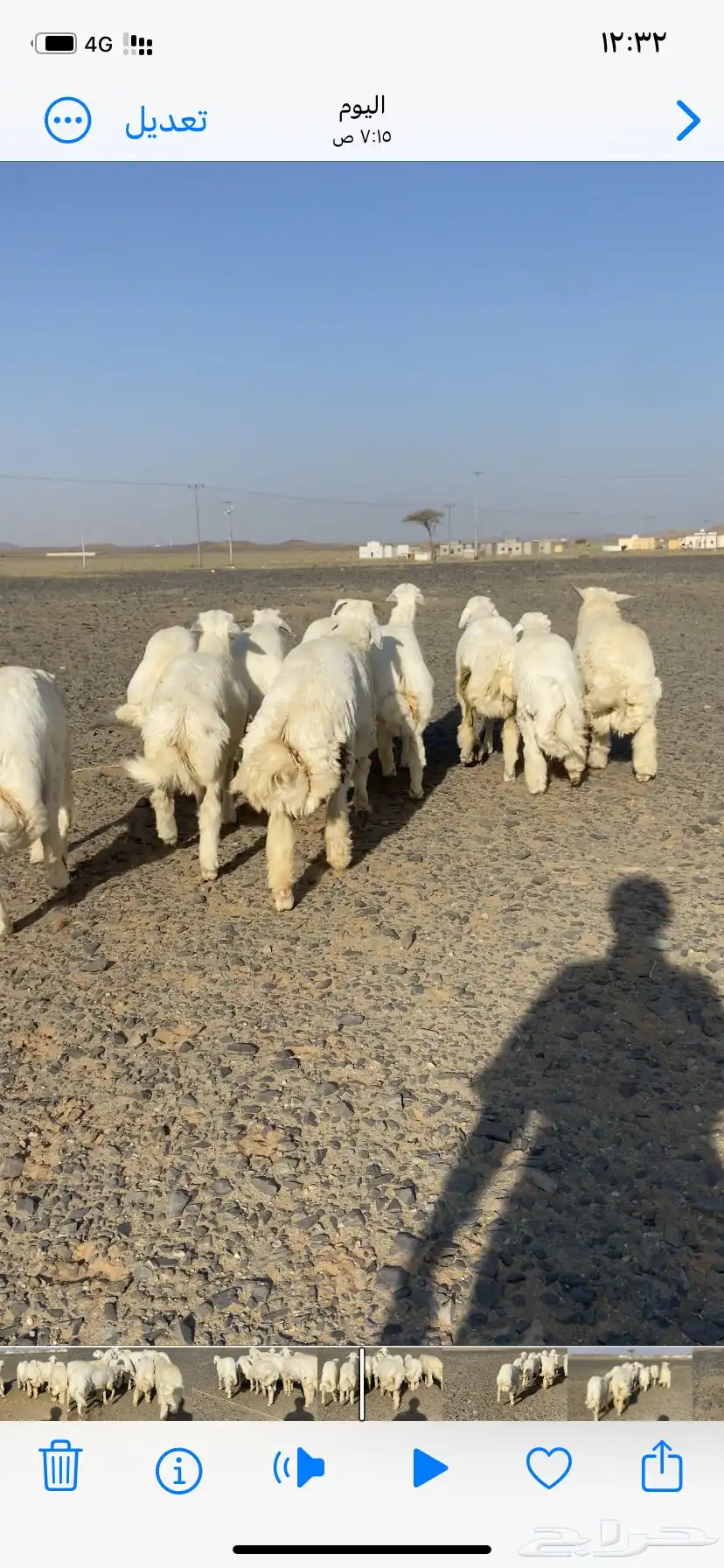 طليان حري طيبه 0