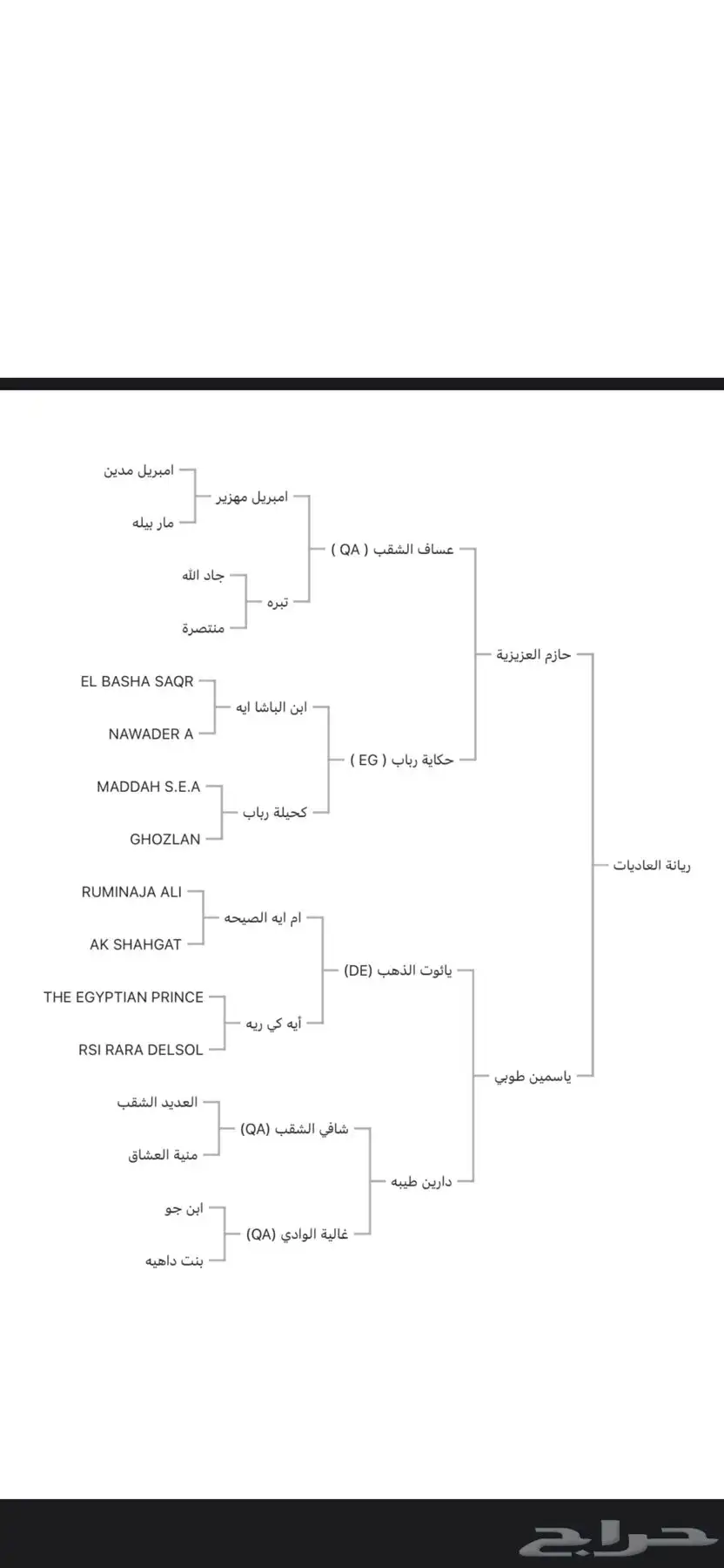 فرس واهو 1