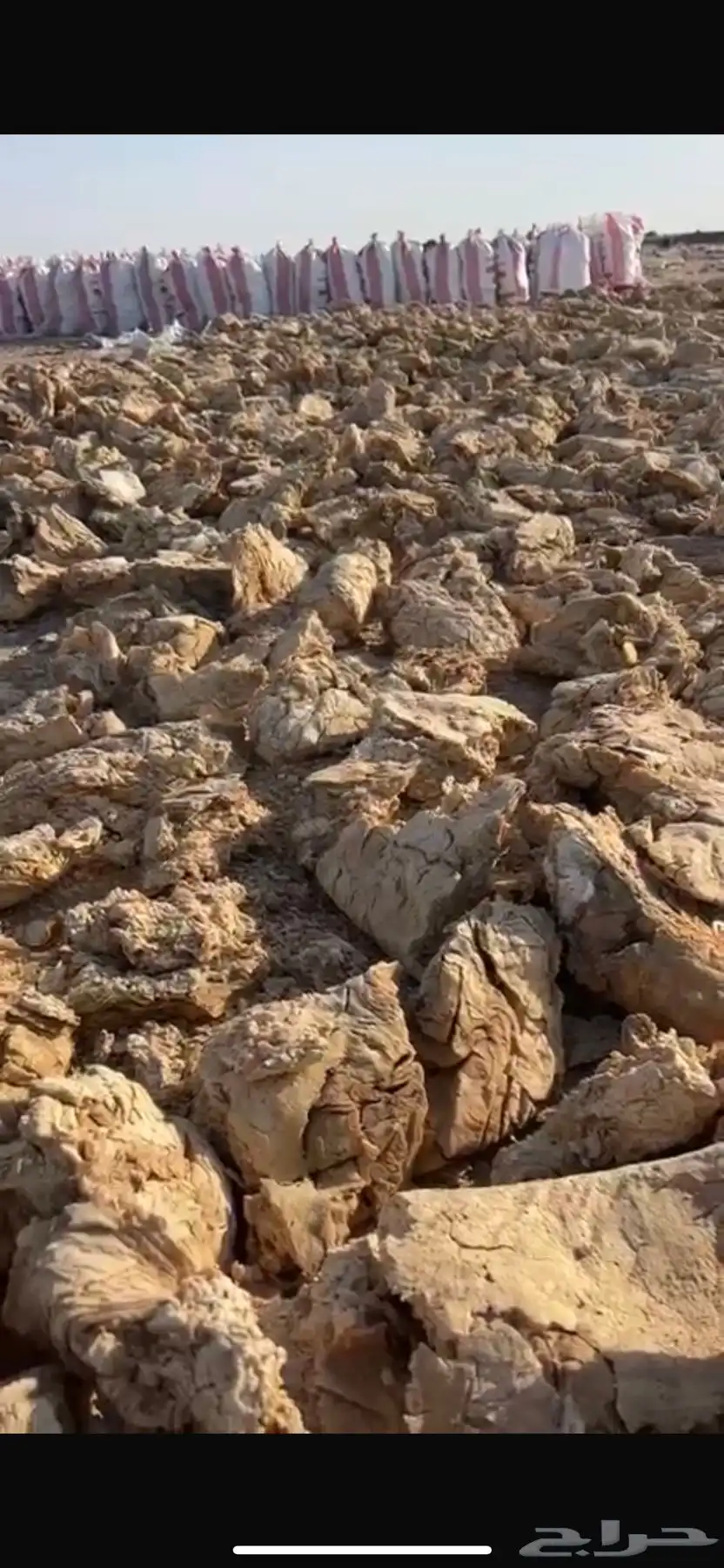 عجين سمبوسه ناشف 1