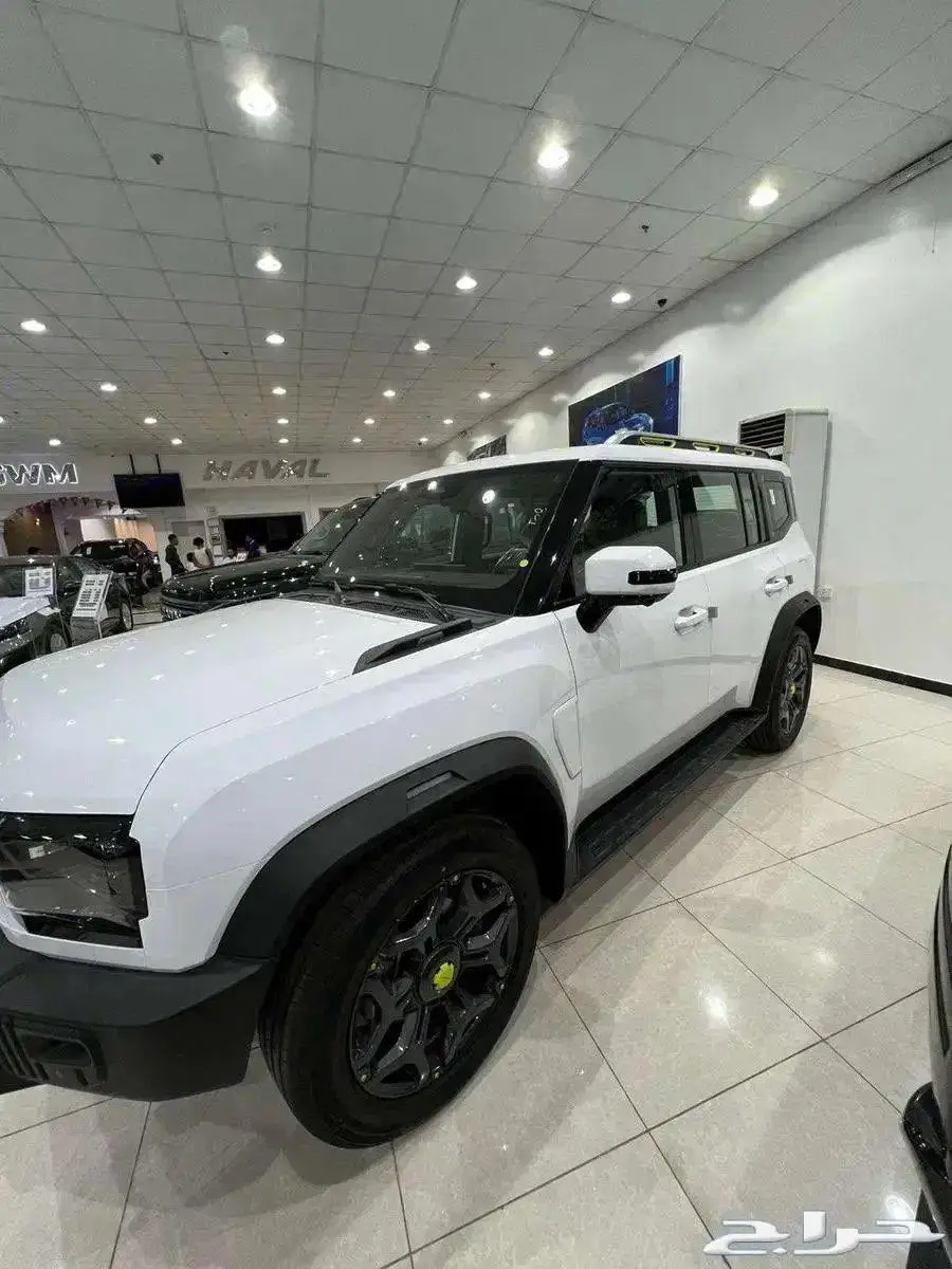 جيتور داشينج 2025 1