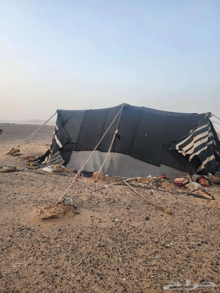 القريات 0
