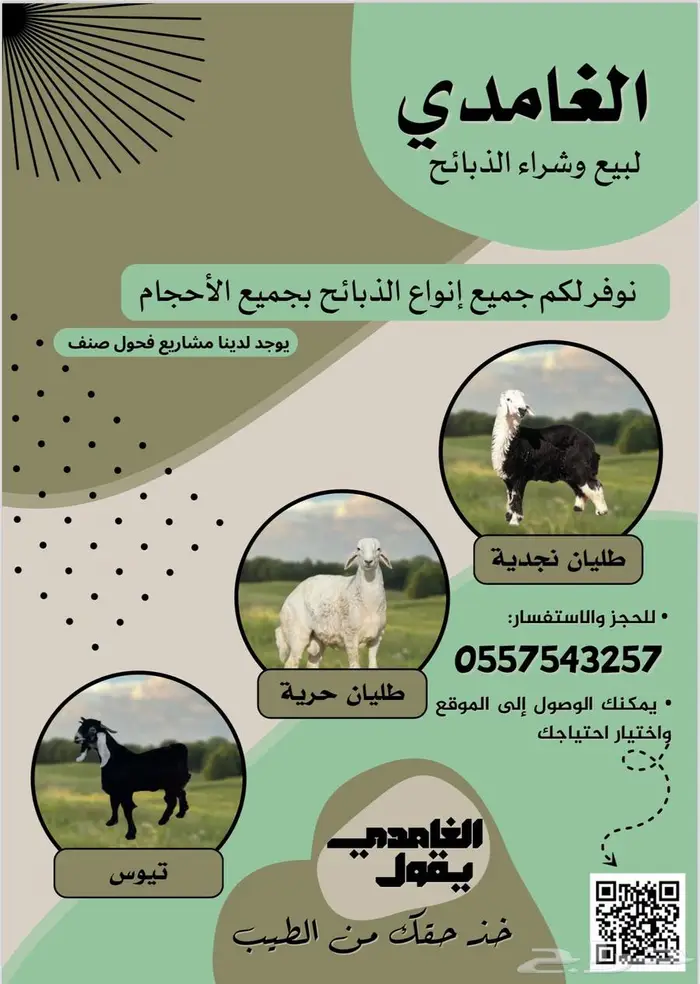 طليان 0
