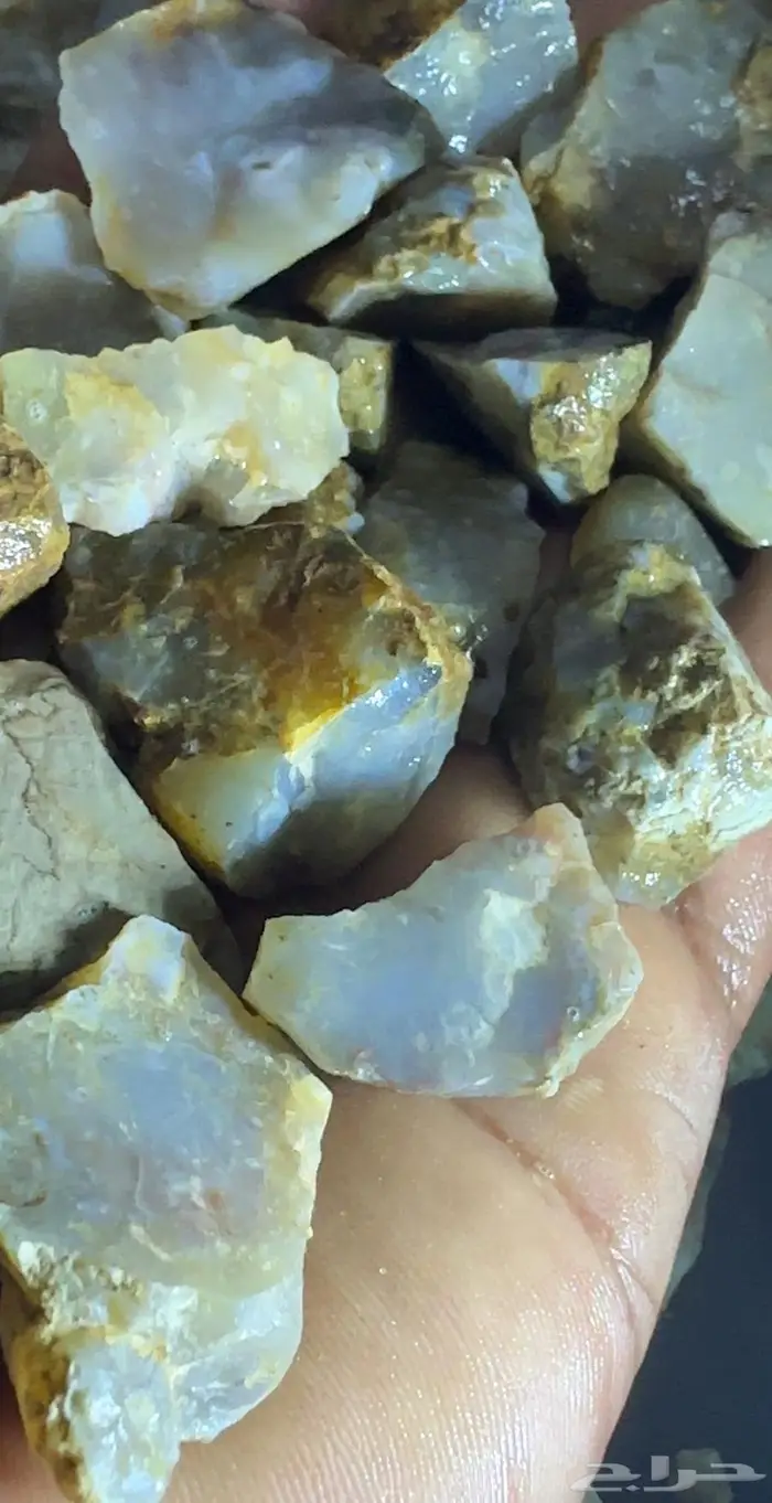 نوادر العقيق الأزرق 10