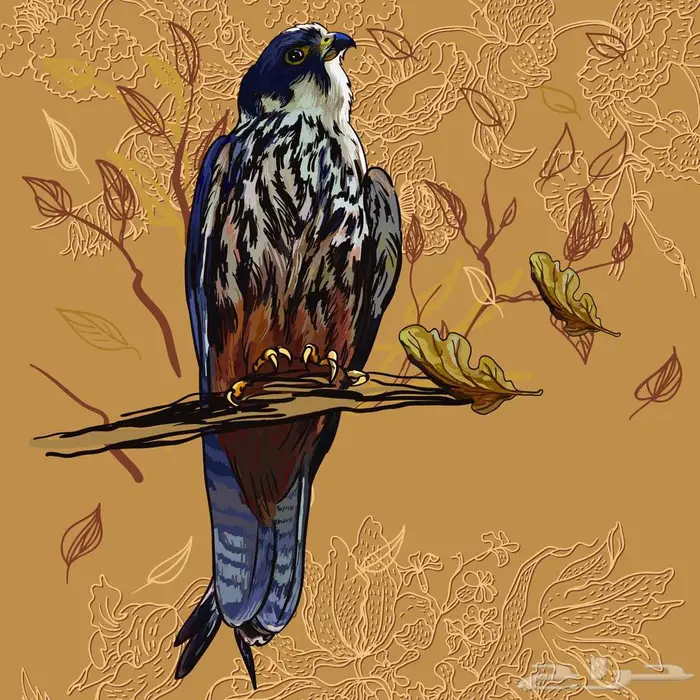لوحات جدارية كانفس فنية بألوان رائعة وتصاميم متنوعة 7